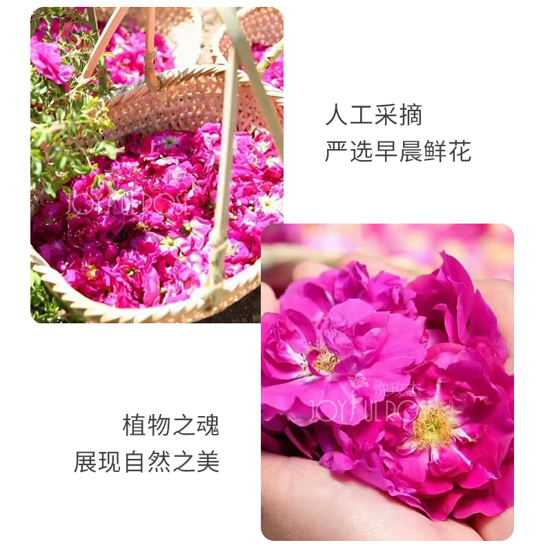 悦玫志兰州原产地正品2025年新花期苦水玫瑰鲜花纯露500ml保湿 - 图1