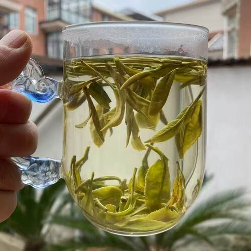 龙井2026新茶杭州龙井茶雨前龙井绿茶高山老茶树500g茶叶豆香浓郁 - 图2
