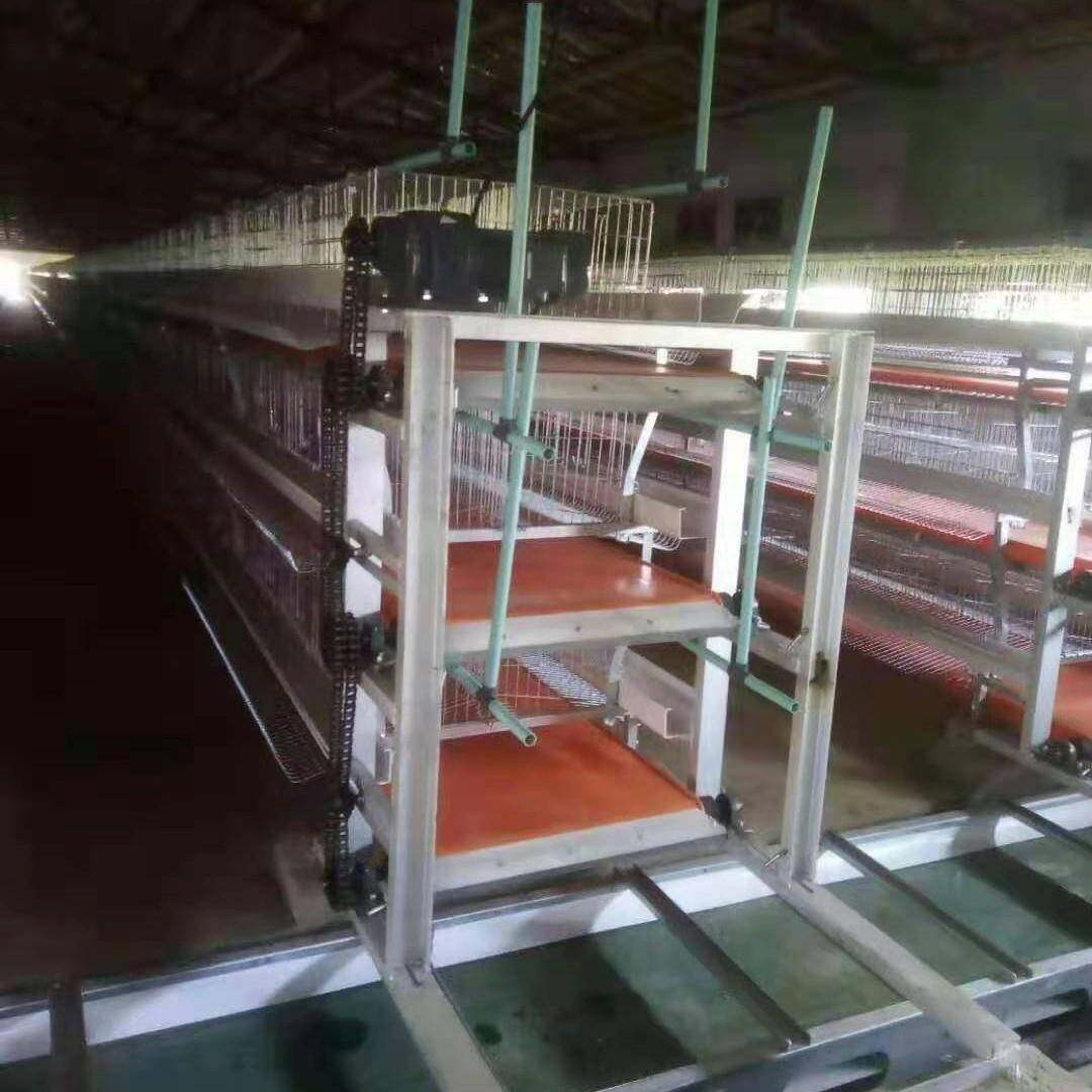 肉鸡元宝笼全自动清粪捡蛋加粗加厚镀锌丝畜牧养殖设备养鸡笼,淘宝优惠券,粉丝福利购,淘宝优惠卷