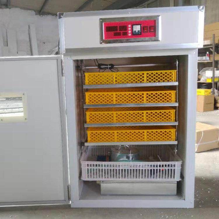 352枚全自动孵化机厂家直供鸡鸭鹅种蛋孵化箱小型家用孵蛋器,淘宝优惠券,粉丝福利购,淘宝优惠卷