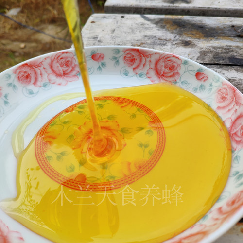 2025新鲜蜂农自产天然野生蜂蜜 药花五味子蜂蜜封盖成熟正宗2斤装 - 图0