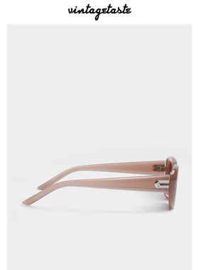 VNTG偏光墨镜极简中性男女网红ins风冷淡风茶色防晒uv400太阳眼镜