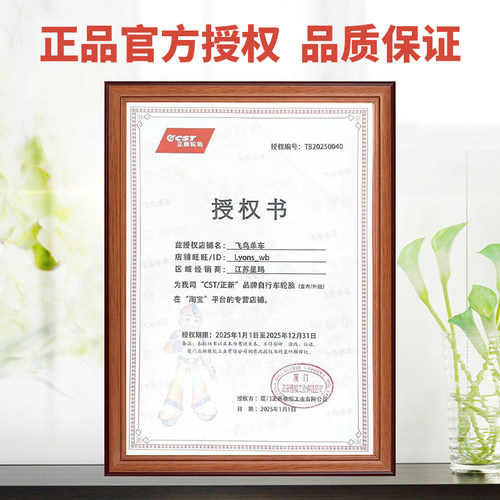 CST正新700c公路车外胎 700x25c 28c 自行车超轻折叠耐磨轮胎 - 图2
