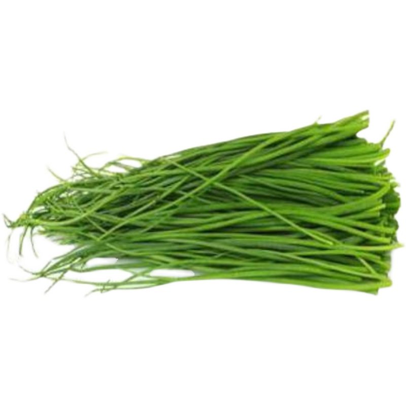 【顺丰包邮】沙葱新鲜甘肃沙葱新鲜沙葱特产蔬菜新鲜蔬菜野菜小葱,淘宝优惠券,粉丝福利购,淘宝优惠卷