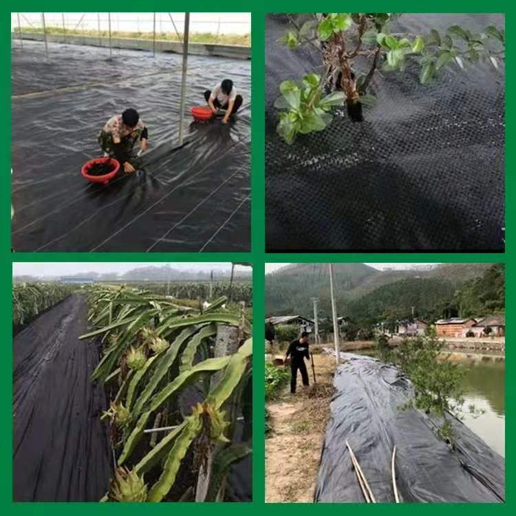 防草布除草布园林抑草席农用除草布地膜果园防草地布除草园艺地布 - 图0