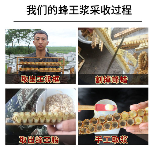 东北黑蜂蜂王浆野生农家自产纯正天然正品新鲜低产活性蜂皇浆500g - 图0