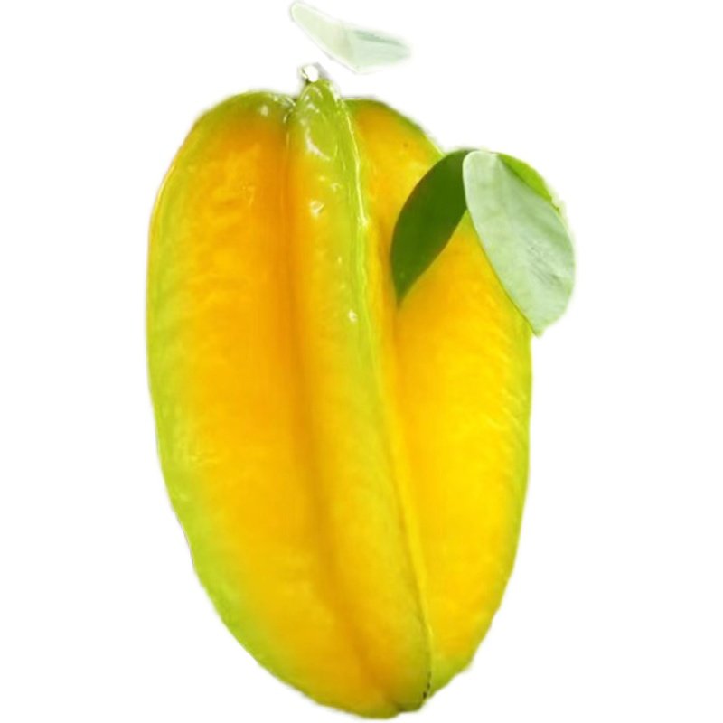 杨桃树苗果树结果四季甜杨桃台湾大果杨桃苗庭院阳台盆栽好养果苗,淘宝优惠券,粉丝福利购,淘宝优惠卷