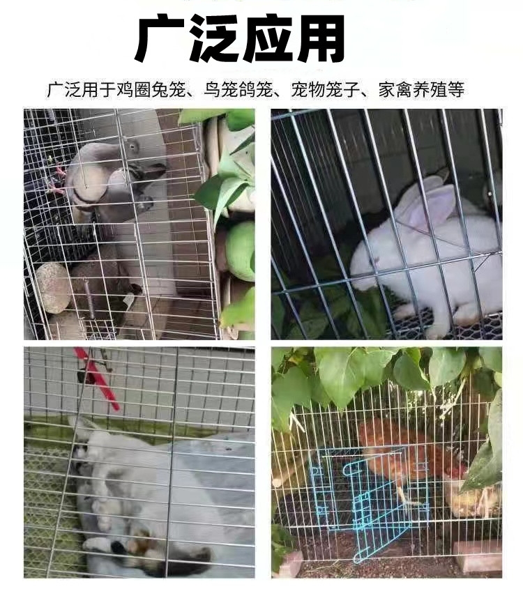 铁丝网围栏网长孔钢丝网整卷防锈加密鸟笼网片防鼠鸡兔鸟鸽笼子网-图0