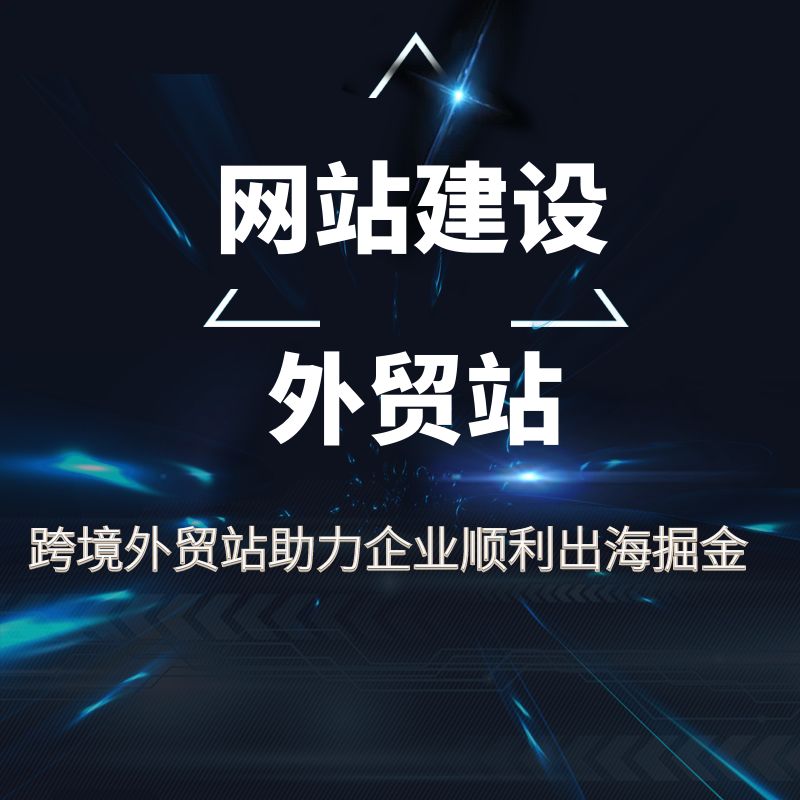 网站建设公司网站外贸网站制作网页制作企业网站商城网站一站式建 - 图2