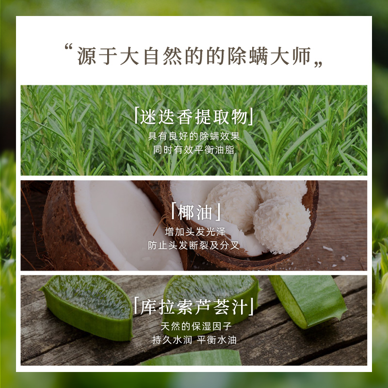 AvalonOrganics海外旗舰店阿瓦隆迷迭香精油除螨去屑止痒控油丰盈毛囊炎洗发水去螨虫无硅油2