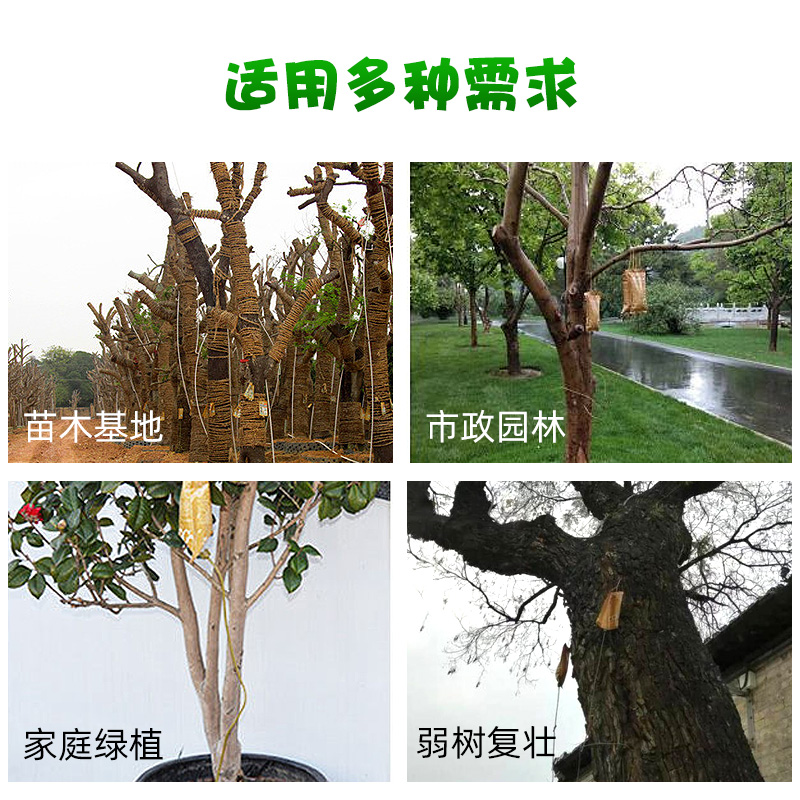 国光施它活大树吊针液植物营养液通用型激活液移栽大树整桶带钻头 - 图1