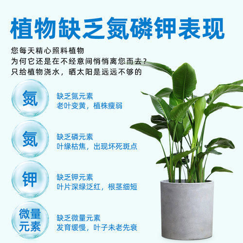 日本魔精复合肥料魔肥盆栽洋兰绣球月季铁线莲盆景花宝花肥 - 图1