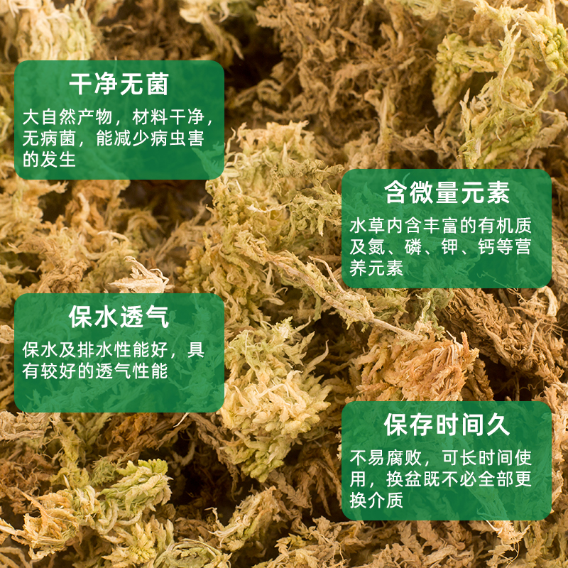 大包干水苔藓草10kg蝴蝶兰花专用石斛多肉食虫植物栽培土微观造景-图1