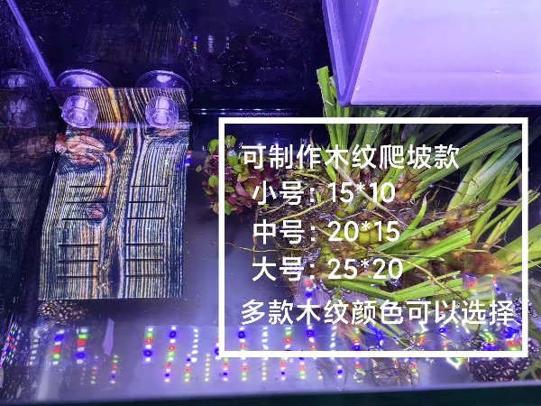 亚克力乌龟平台爬台乌龟晒背台带食槽透明白色多色吸盘挂钩可选,淘宝优惠券,粉丝福利购,淘宝优惠卷