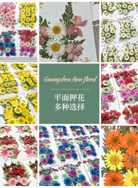 滴胶干花压花材料包美甲滴胶素材包押花diy材料包