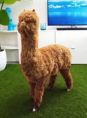 一比一仿真羊驼模型动物摆件