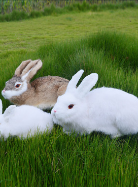 兔毛摆件玩具可爱室内仿真兔模型