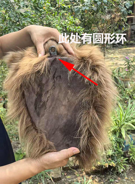 仿真熊猫招财兽头壁饰门店装饰