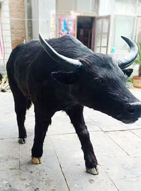 一比一仿真黄牛水牛奶牛模型