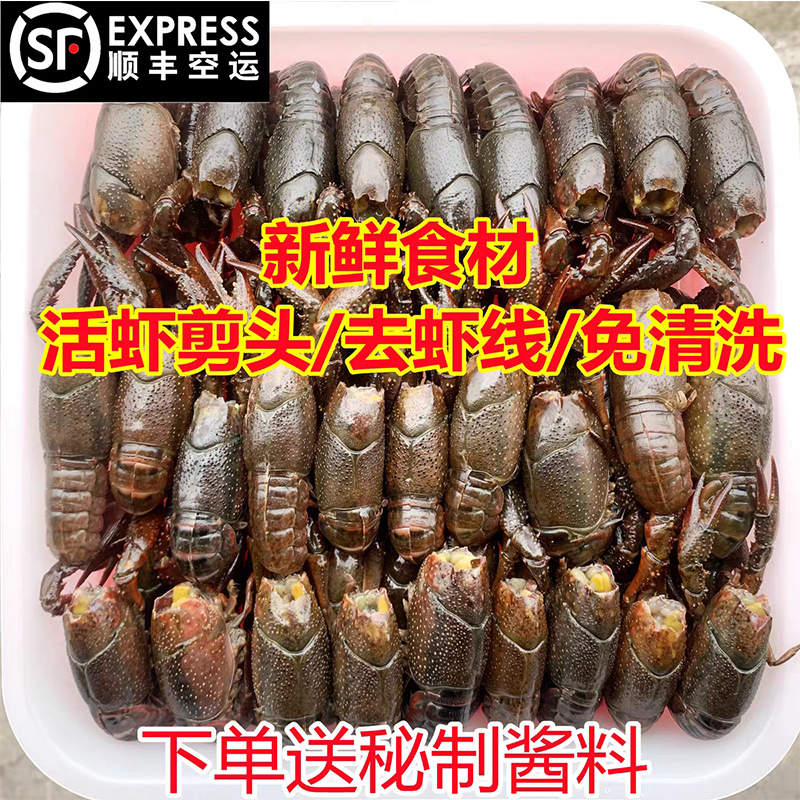 麻辣小龙虾即食冷冻生鲜活虾现做特级小龙虾特大号鲜活小龙虾商用 - 图2