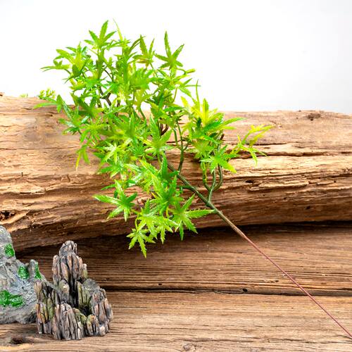 仿真美人松罗汉松针崖柏松树枝叶子盆景拍摄道具树装饰摆件造景 - 图0