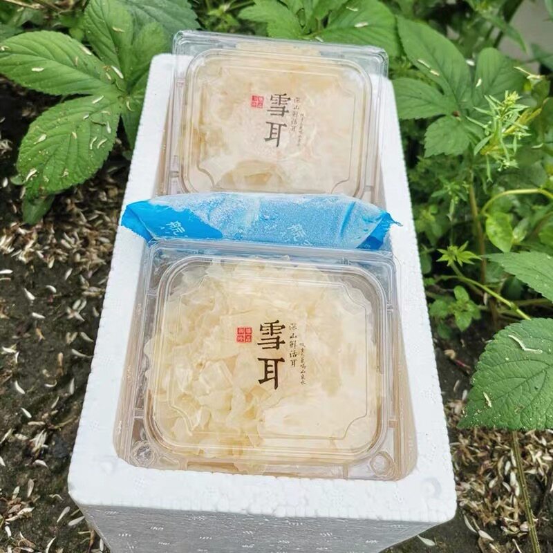 古田高山鲜银耳 6朵装700g软糯多胶新鲜雪耳莲子羹材料包邮,淘宝优惠券,粉丝福利购,淘宝优惠卷