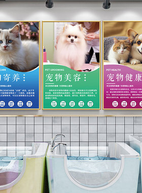 宠物店装饰色彩鲜艳高清原图