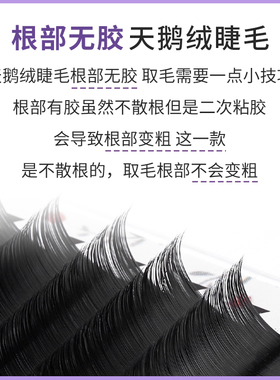 天鹅绒不散根漫画款美睫