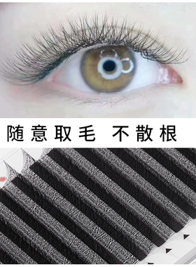0.05嫁接睫毛三叶草睫毛