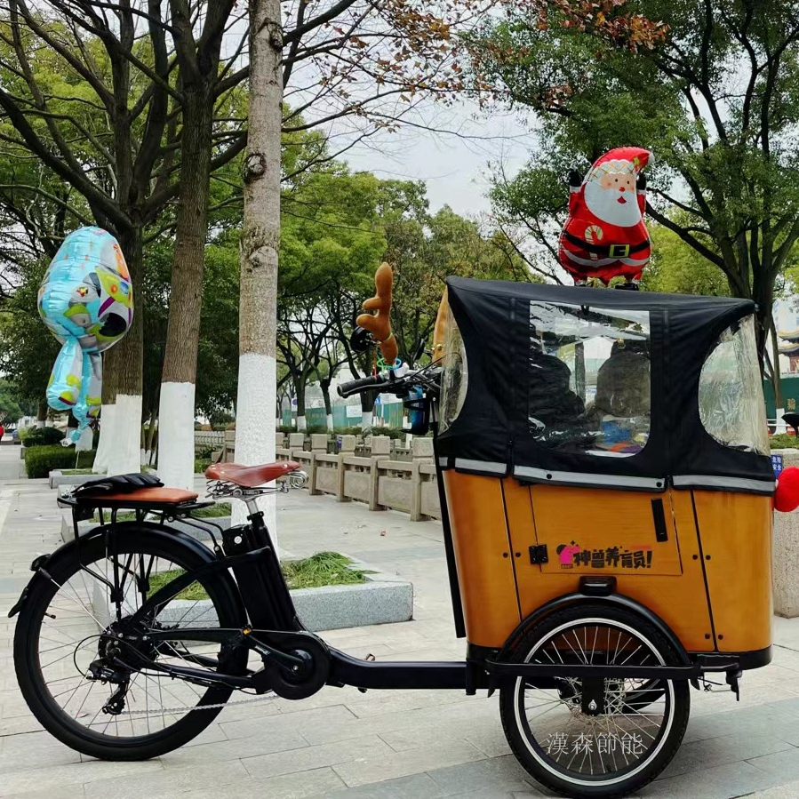 cargo bike电助力倒三轮自行车泽西岛带娃车汉森倒骑驴四胞胎专车-图1