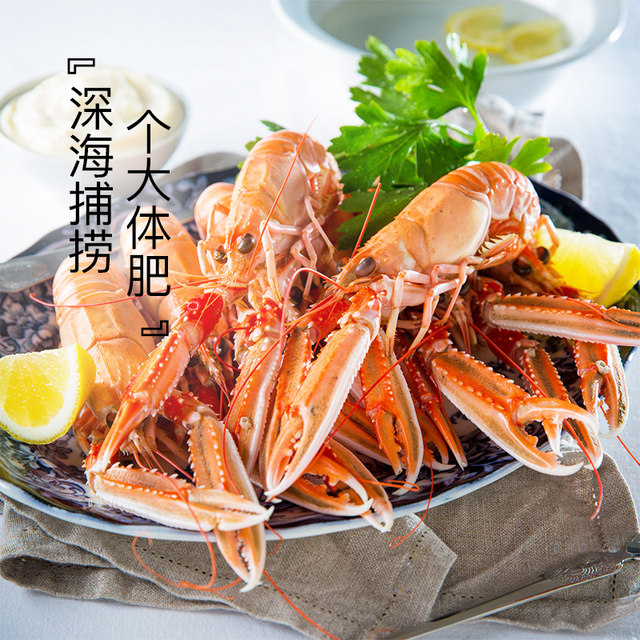 500g langoustine prawn fresh seafood aquatic products