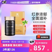 (self-employed) South Korean Kao Li Ginseng Cream Ginseng Concentrated Liquid black red ginseng Courtesy Kit Antler Red Ginseng 240g