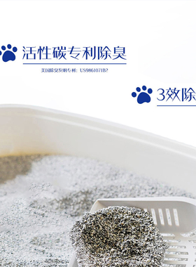 everclean铂钻猫砂膨润土