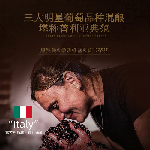 【自营】意大利进口普利亚红酒礼盒装 18度干红葡萄酒整箱正品 - 图2