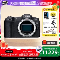 (self-employed) Canon Canon R8 Full painting Professional Microsingle 4K Camera HD Tourism Digital r8 Live