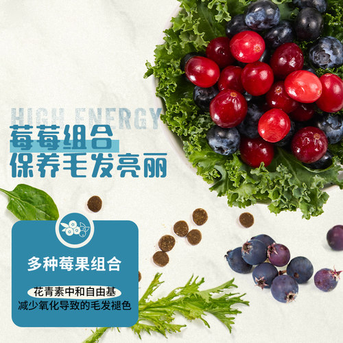 【自营】ACANA/爱肯拿成猫养发护肤鱼肉无谷海洋盛宴全猫粮1.8kg - 图3
