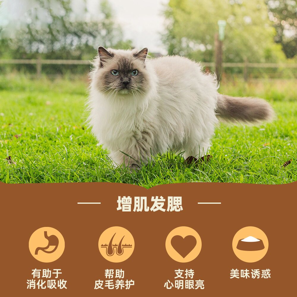 【自营】爱肯拿鸡肉猫粮进口成幼猫牧场盛宴猫粮4.5KG