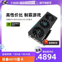 (Self-Employed) Technology Gia RTX4070 Falcon Desktop Computer Electric Race Game Drawing Design Learning Graphics Card