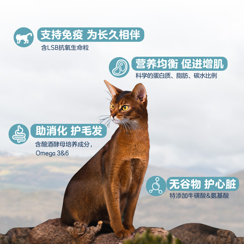 【自营】(临期2024/12/19)蓝馔原野精灵全价成猫粮去骨鸡肉4.9kg