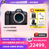 (self-employed) Canon Canon EOS R5 full painting amplitude micro single-phase machine digital 8k high-definition professional single body