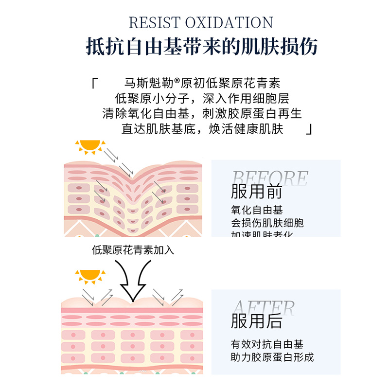 【自营】Anthogenol月光宝盒葡萄籽胶原蛋白花青素去黄氧化胶囊