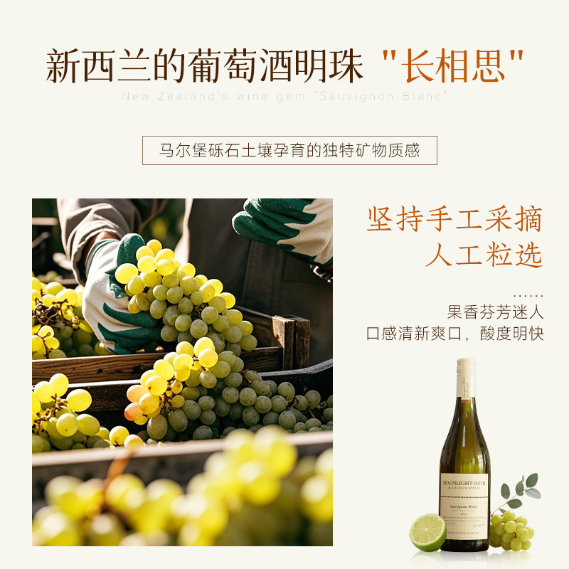 【自营】新西兰进口马尔堡长相思干白葡萄酒女士微醺果酒赠香槟杯,淘宝优惠券,粉丝福利购,淘宝优惠卷