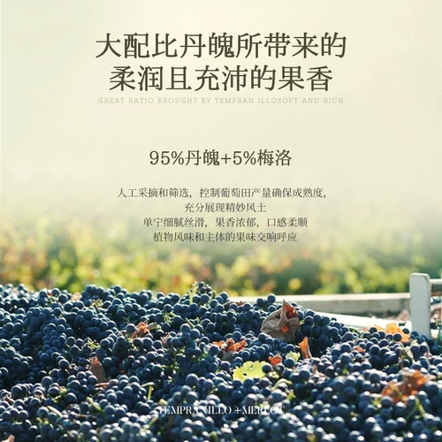[Самостоятельное управление] Французское импортное красное вино Louis Lafite LOUISLAFON в подарочной коробке с сухим красным вином