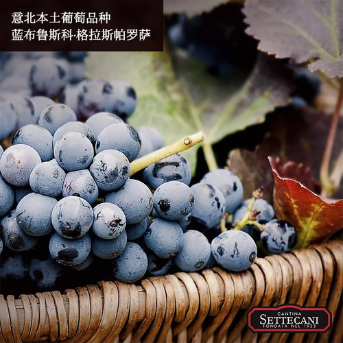 【自营】意大利蓝布鲁斯科进口起泡红葡萄酒8度微醺赠香槟杯 - 图3