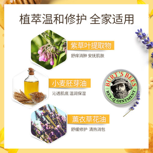 【自营】伯特小蜜蜂天然紫草膏8.5g宝宝儿童孕妇可用止痒小绿罐-图1