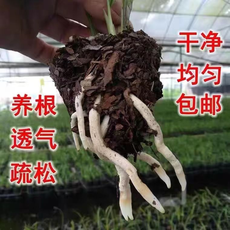 发酵松树皮松鳞蓝莓铁皮石斛兰花植料月季多肉植物基质60升大包装