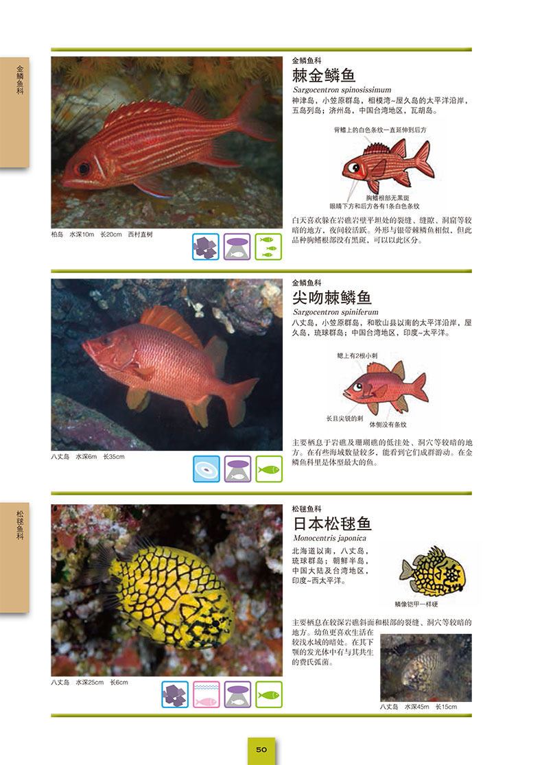 海水鱼大图鉴1000种海水鱼 1000幅微距照片 1000条专业词条观赏鱼鉴赏与饲养选鱼饲养与鉴赏图典海底生物彩色图鉴书籍 忆美时尚