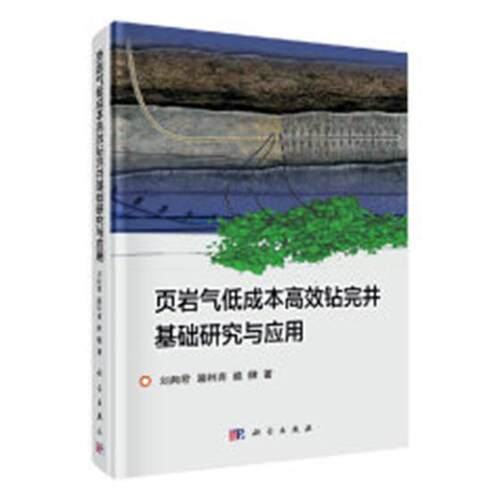 正版包邮 页岩气低成本钻完井基础研究与应用 刘向君，梁利喜，熊健著 科学出版社 钻井工程书籍 石油/天然气工业9787030529893 - 图0