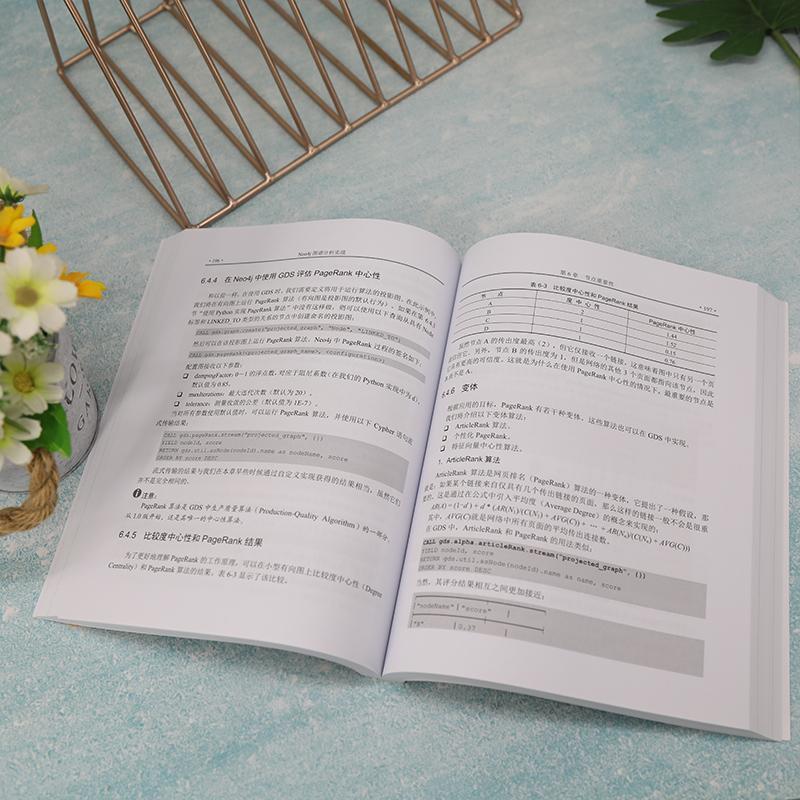 Neo4j图谱分析实战埃斯特尔·赛弗计算机与网络书籍 - 图0