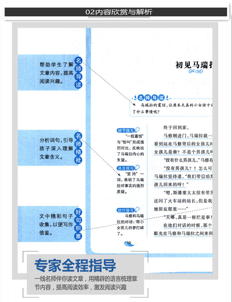 绿山墙的安妮 刘益宏主编江西美术出版社珍藏版无障碍阅读中小学名著青少课外阅读经典文学名著故事书籍青少年读物书